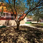 House Olive Tree * Mundanije