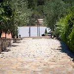 House Olive Tree Mundanije