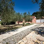 House Olive Tree Mundanije