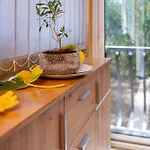 House Olive Tree Mundanije