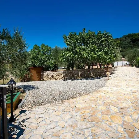 House Olive Tree Casa de Férias