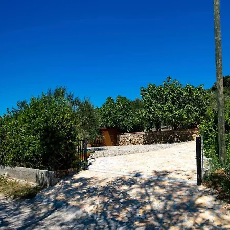 House Olive Tree Holiday home *