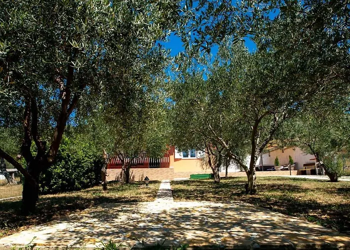 House Olive Tree Casa de Férias