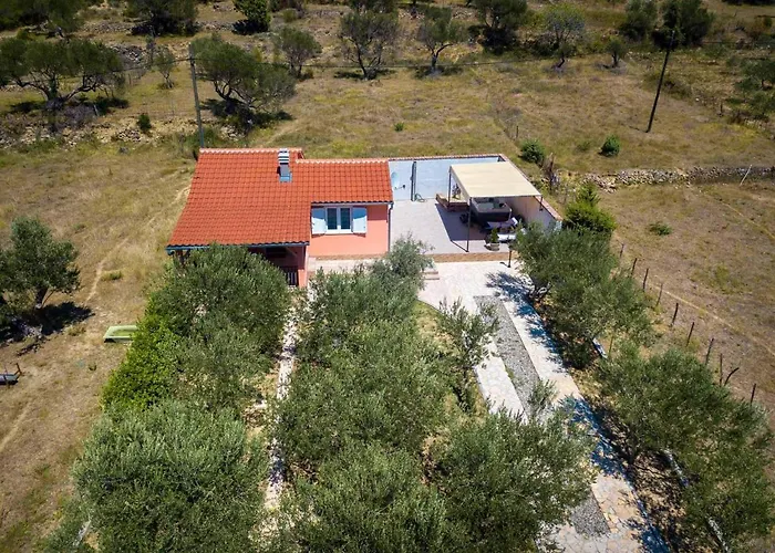 House Olive Tree Holiday home *