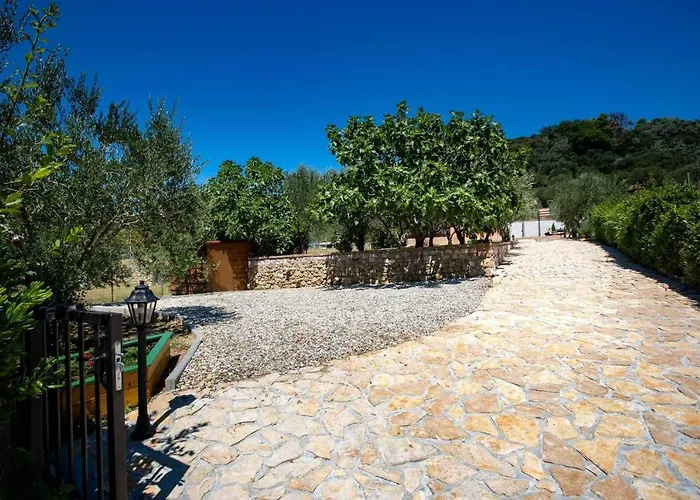 House Olive Tree Дом отдыха