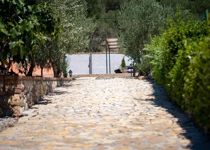 House Olive Tree Mundanije