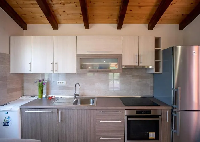 House Olive Tree Дом отдыха Mundanije