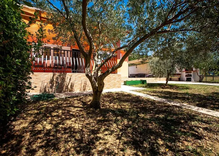 House Olive Tree * Mundanije