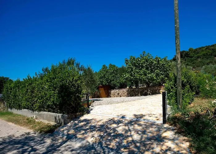 House Olive Tree Holiday home *